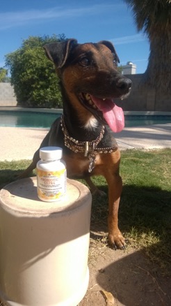 Charlie and Probiotic Ultra